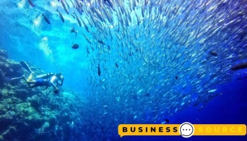 墾丁舒服潛水 Cozidive - Pingtung County, Hengchun Township