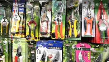 大龍大賣場-後龍店 - 356台湾苗栗縣後龍鎮中華路153號