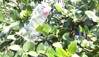 正隆里布行 - Pingtung County, Pingtung City