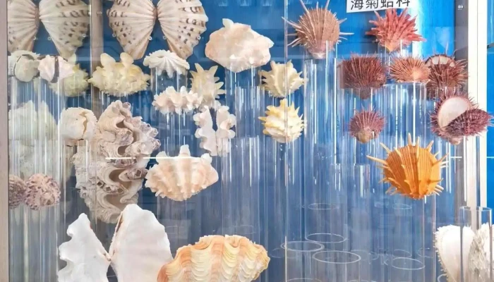 Bei Ke Mei Shu Guan Bei Ke 23Yi Pin Qi Ye Xing Zui Xin - Pingtung County, Hengchun Township