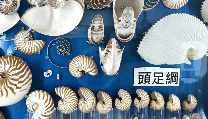Bei Ke Mei Shu Guan Bei Ke 23Yi Pin Qi Ye Xing 區域 - Pingtung County, Hengchun Township
