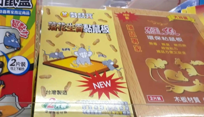 Lin Jia Chao Shi 目錄 - Miaoli County, Miaoli City