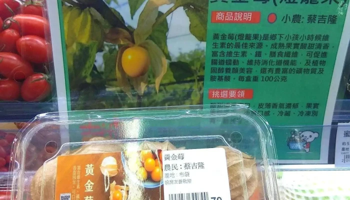 Quan Lian Fu Li Zhong Xin Tai Nan Chang Rong Dian Shi Wu - Tainan City, East District