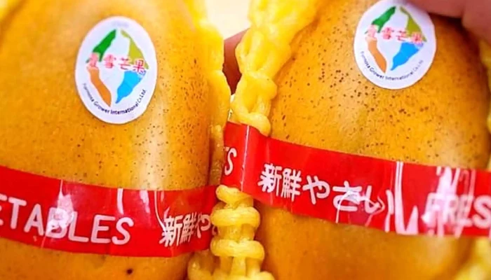 Tai Dong Di Qu Nong Hui Pi Nan Cai Feng Ban Shou Guan 電話 - Taitung County, Taitung City