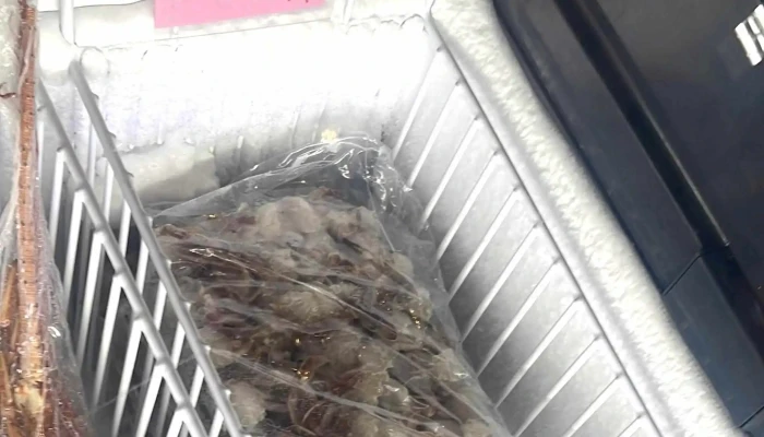 Xie Shi Hai Xian Yehs Fish 如何到達 - Taitung County, Taitung City