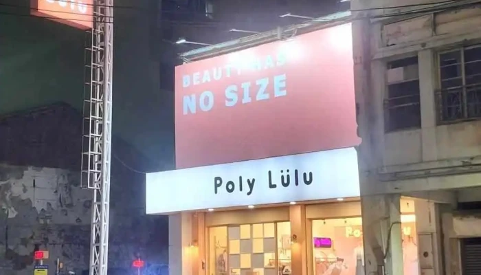 Poly Lulu Zhong Da Chi Ma Zhang Hua Yuan Lin Zhong Shan Dian Quan Bu - Changhua County, Yuanlin City