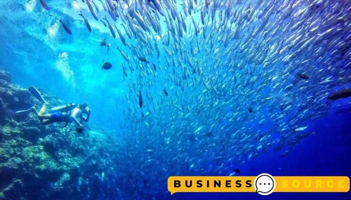 墾丁舒服潛水 Cozidive - Pingtung County, Hengchun Township