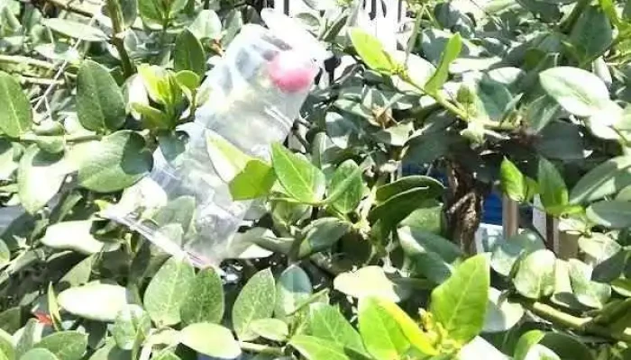 正隆里布行 - Pingtung County, Pingtung City